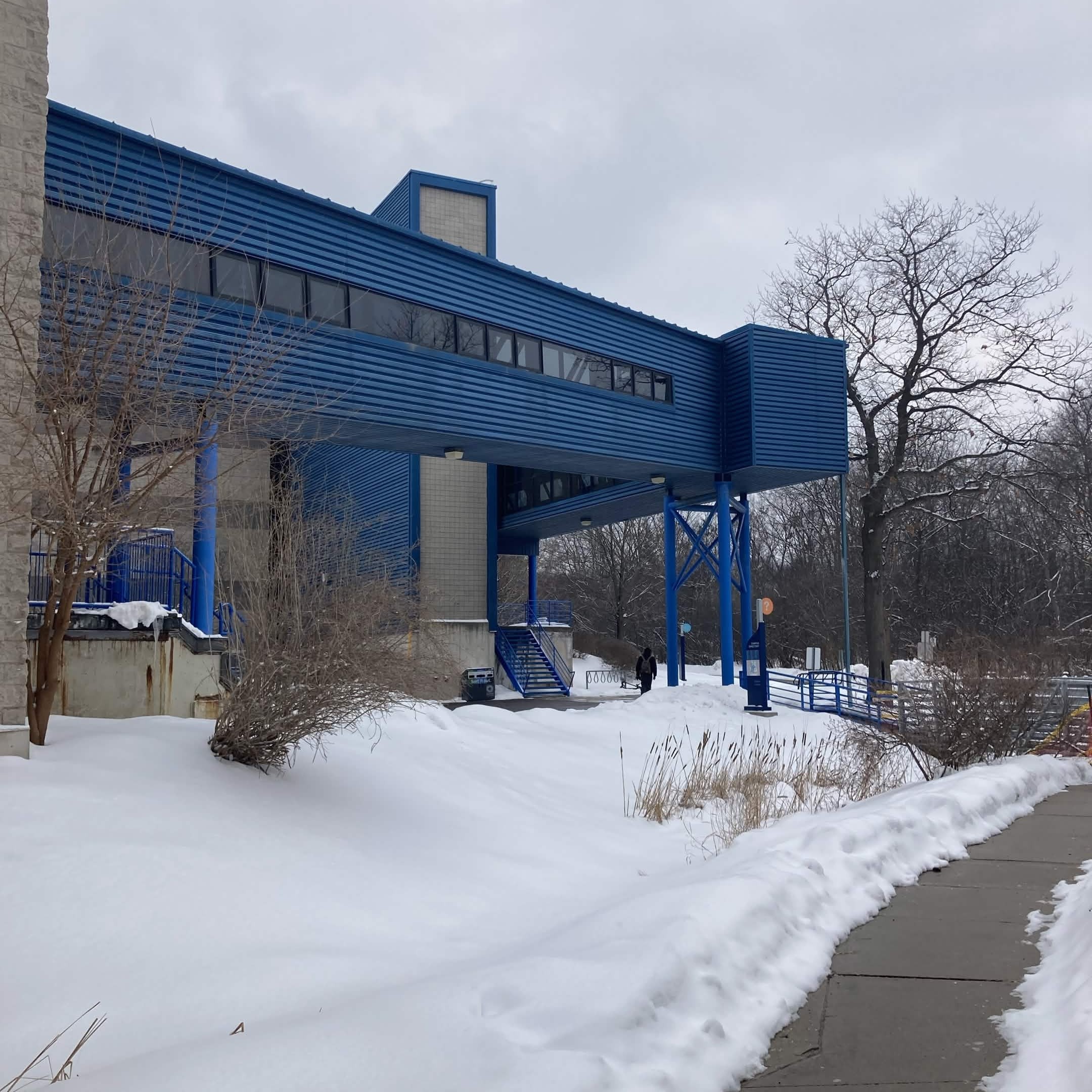 walking outside sounds in the cold and wind<br><audio controls src='/audio/17.m4a'></audio>